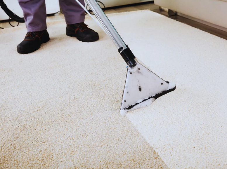 TAPIS Élimination des bactéries et micro organismes sur tapis avec vapeur