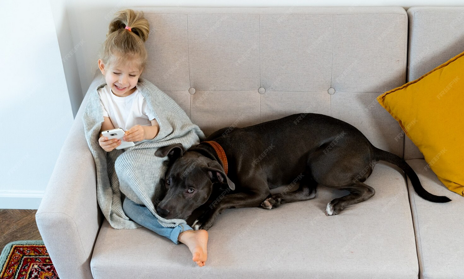 NETTOYAGE CANAPÉ un chien et un enfant sur un canapé propre après un nettoyage vapeur