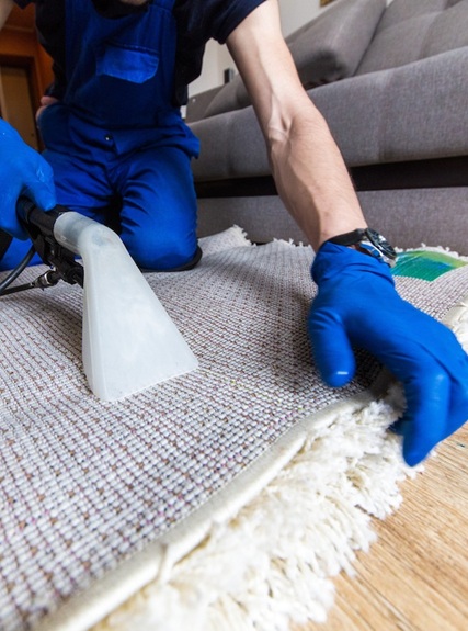 TAPIS illustration de notre technique de nettoyage tapis vapeur