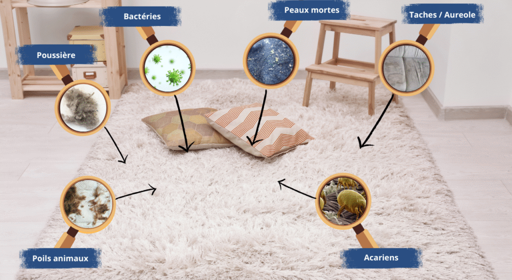 Nettoyage de tapis à Sannois et ses alentours – poussières, acariens, poils d’animaux et miettes visibles dans le tapis