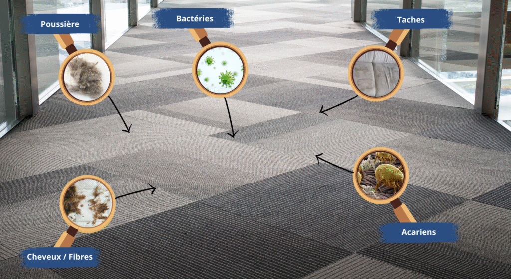 Nettoyage de moquette à Sannois et ses alentours – poussières, acariens, poils d’animaux et miettes visibles dans la moquette