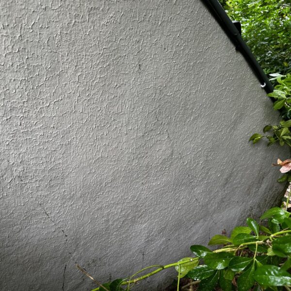 1ef9c59d-00f9-4769-b340-1c186c701a67