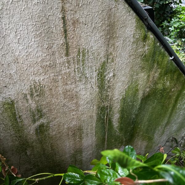 9b89341f-c3e6-4b90-8a14-0de3a30e1093